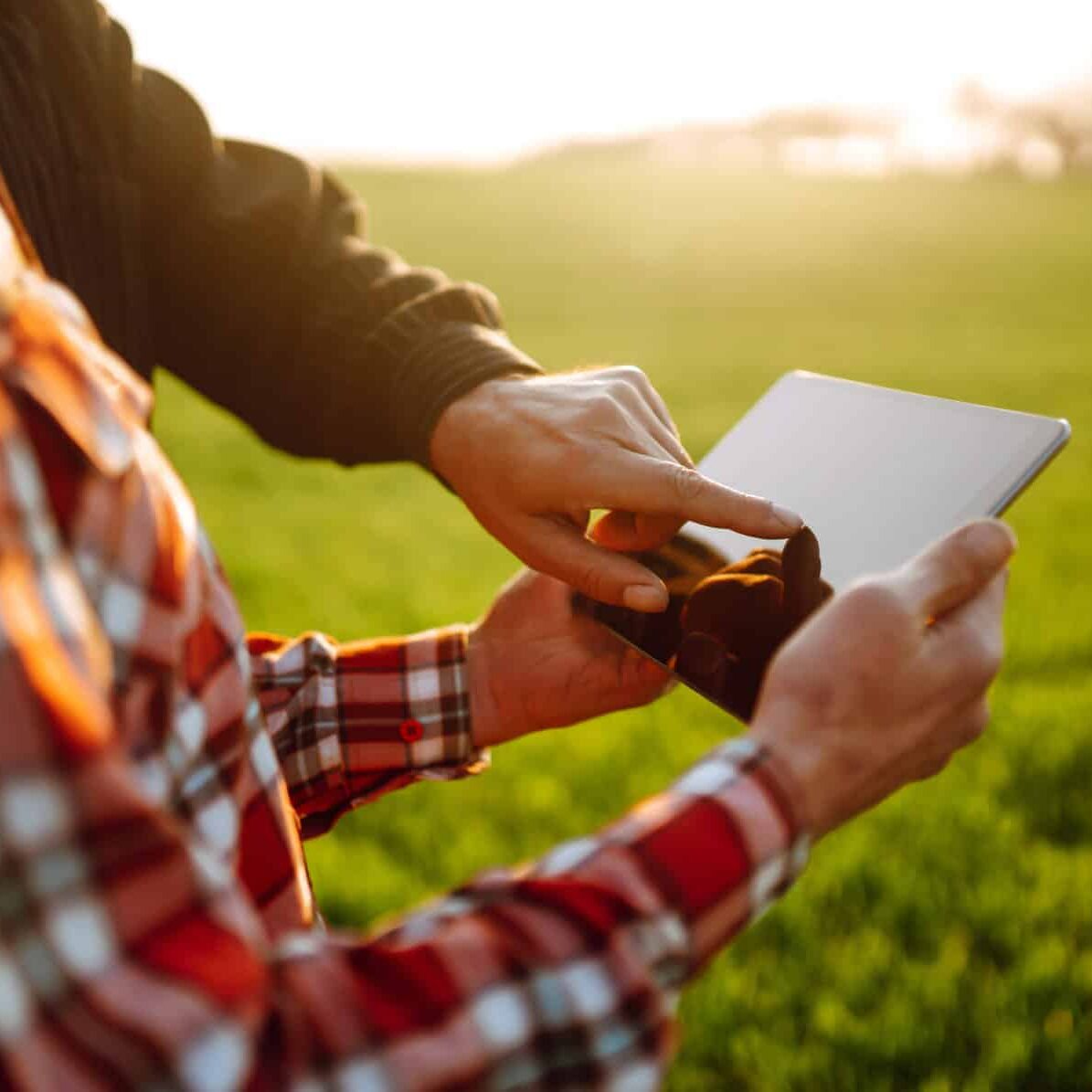 Farmers with tablet in the field